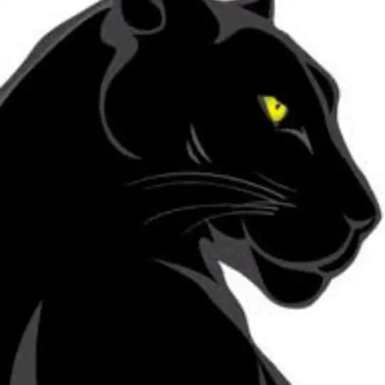 CVV 教学入门基础 Profile