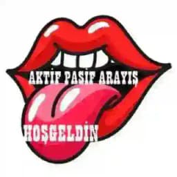 AKTİF PASİF ARAYIŞ Profile