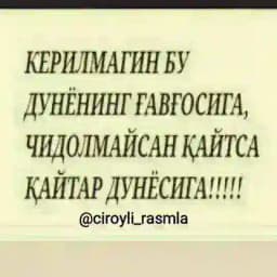 ┄┅༄ϘᏆᎽϴᎷᎪͲᏞᏆ ᎠϴՏͲᏞᎪᎡ༄┅┄ Profile