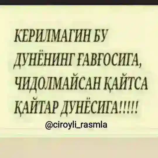 ┄┅༄ϘᏆᎽϴᎷᎪͲᏞᏆ ᎠϴՏͲᏞᎪᎡ༄┅┄ Profile