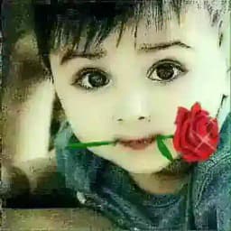 Алтын группа Profile