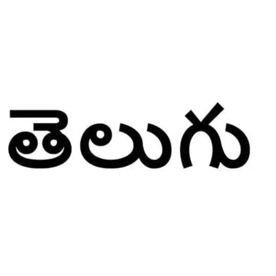 America lo Telugu Vallu -USA - అమెరికా లో తెలుగు వాళ్ళు Profile