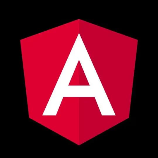 Angular Framework Español Profile