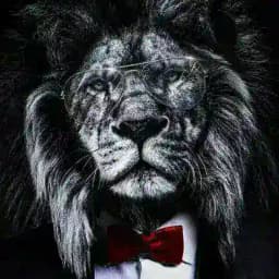 ➿අපි ශ්‍රී ලන්කා 🔱 බොය්ස් ඇන්ඩ් ග්‍රල්ස් ✴️ Profile