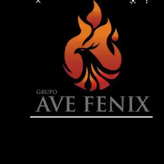 Grupo -" Ave Fenix " Profile
