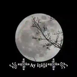 ꧁𒀱𝐀𝐲 𝐢ş𝐢ğ𝐢𒀱꧂ Profile