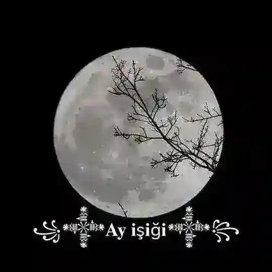 ꧁𒀱𝐀𝐲 𝐢ş𝐢ğ𝐢𒀱꧂ Profile