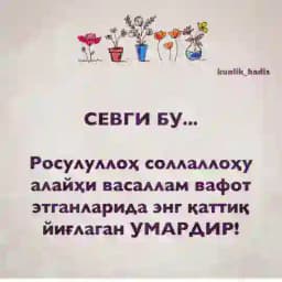 🌙DINDOSHLARIM🌙 Profile