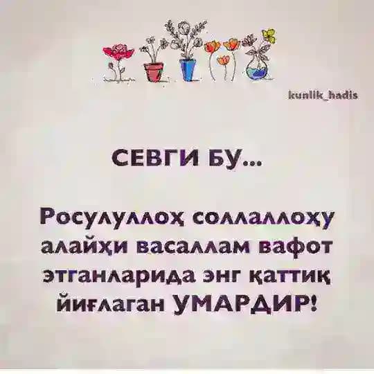 🌙DINDOSHLARIM🌙 Profile