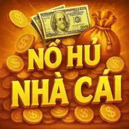 𝙉𝙤̂̉ 𝙃𝙪̃ 𝙉𝙝𝙖̀ 𝘾𝙖́𝙞 🇻🇳 Profile