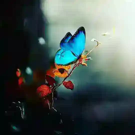 🖤Bakü MAFİA 🖤 Profile