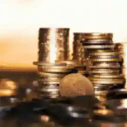 Namma Bangalore Business South Profile