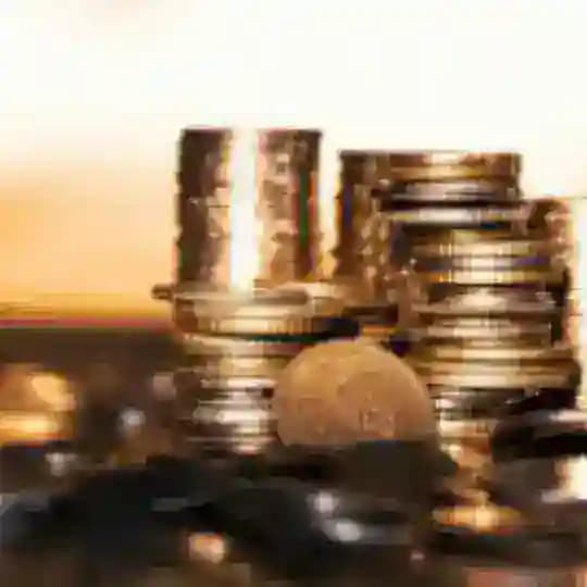 Namma Bangalore Business South Profile