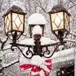 ‿✶UMIDIM SO'NDI彡 Profile