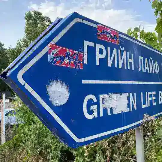 Наш Гринлайф(ский) флуд Profile