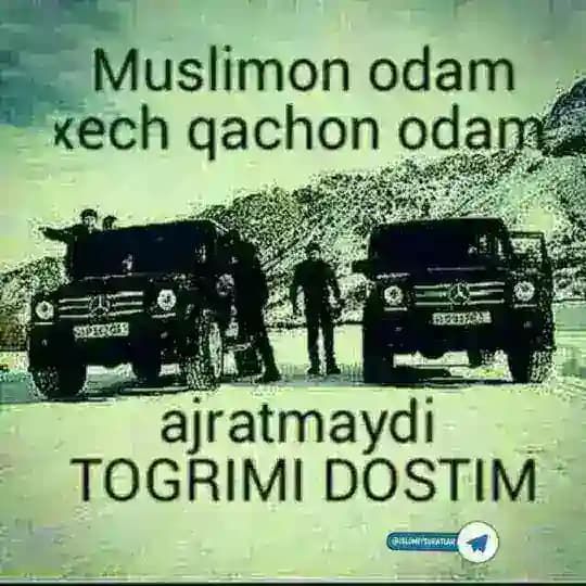 😈🤪👑͜͡ѧ͜͡ ͜͡s͜͡ ͜͡ʟ͜͡ ͜͡z͜͡ ͜͡o͜͡ ͜͡Ԁ͜͡ ͜͡ѧ͜͡ ͜͡ʟ͜͡ ͜͡ѧ͜͡ ͜͡ʀ͜͡👑🤪👿 Profile