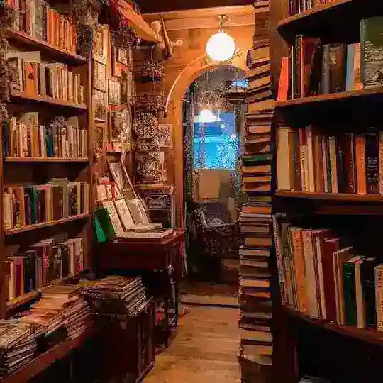 🤍𝒃𝒊𝒃𝒍𝒊𝒐𝒇𝒊𝒍𝒊𝒂🤍 Profile