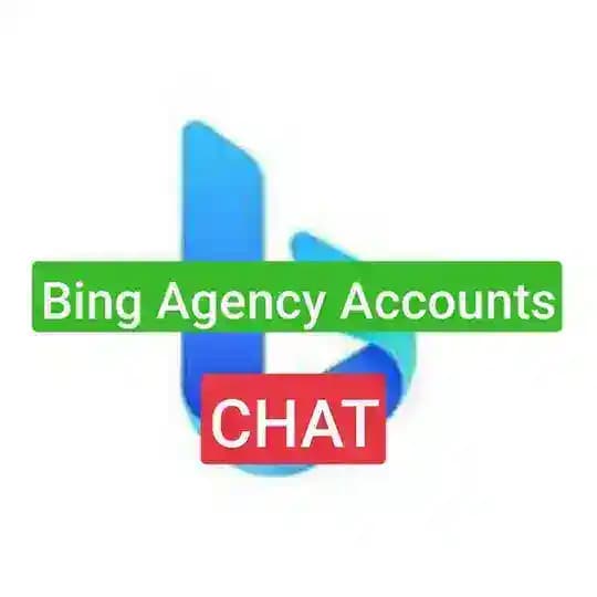 Bing Agency Accounts Chat Profile