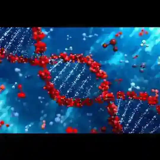 《BIOLOGIYA 》《KIMYO 》 Profile