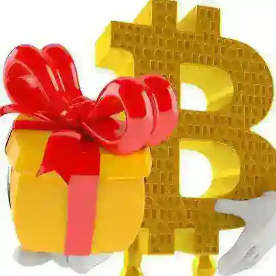 Bitbonus Chat Profile