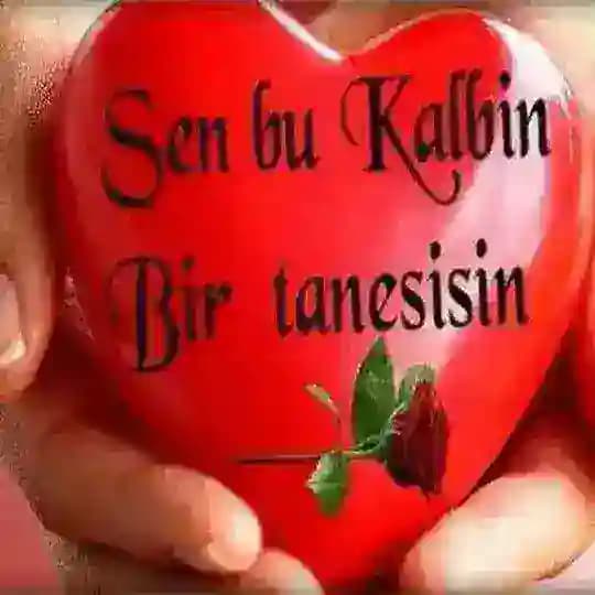 Biz bize yeteriz❤️ Profile