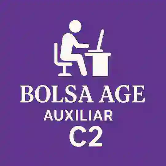 Bolsa AGE Auxiliar🟣 Profile