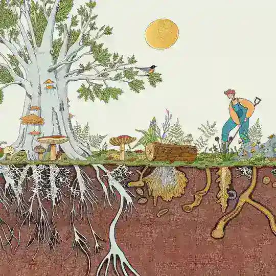 Bosco di Ogigia Gruppo Profile