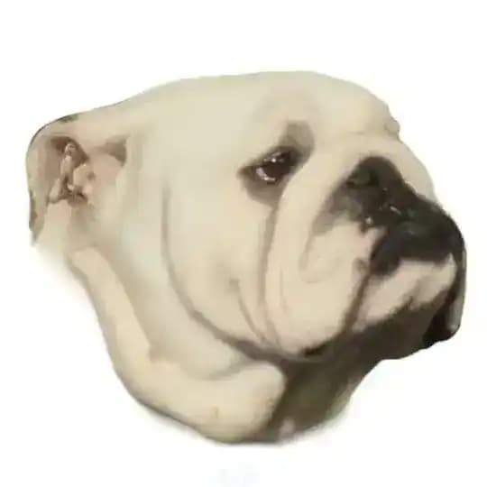 𝔹𝕦𝕝𝕝𝕕𝕠𝕘 𝕀𝕟𝕘𝕝é𝕤 𝔼𝕤𝕡𝕒ñ𝕒 Profile