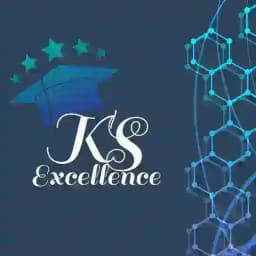 KS EXCELLENCE ( ICAI ) Profile