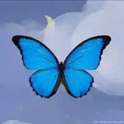 Cari Teman Online Profile