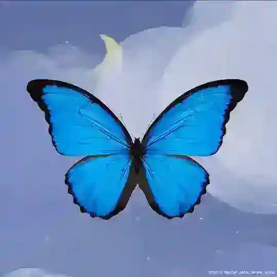 Cari Teman Online Profile