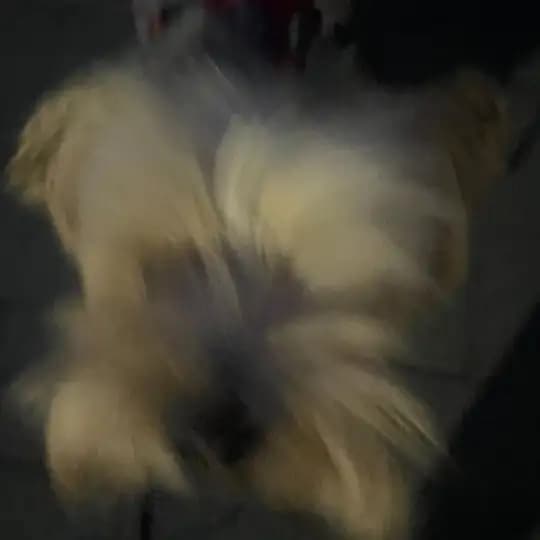 Группа общения и знаковст Profile