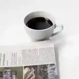 CHAT Uneversum common sense news Profile