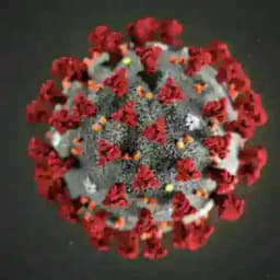 Coronavirus Profile