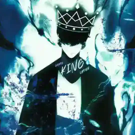 CryptoKing Scanning Area Profile