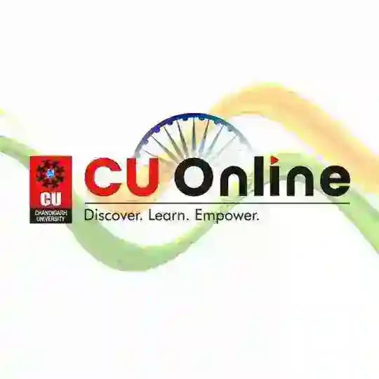 CU ONLINE BCA (July24) Profile