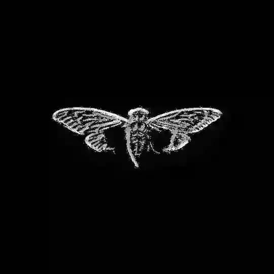 4️⃣暗黑群組入口 Profile