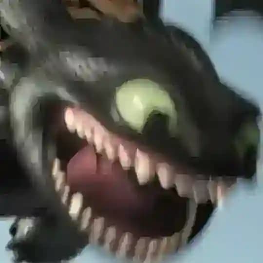 (dᥱs)fᥣoρᥲdᥲs 📚 Profile