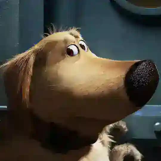 DUG coin community Profile