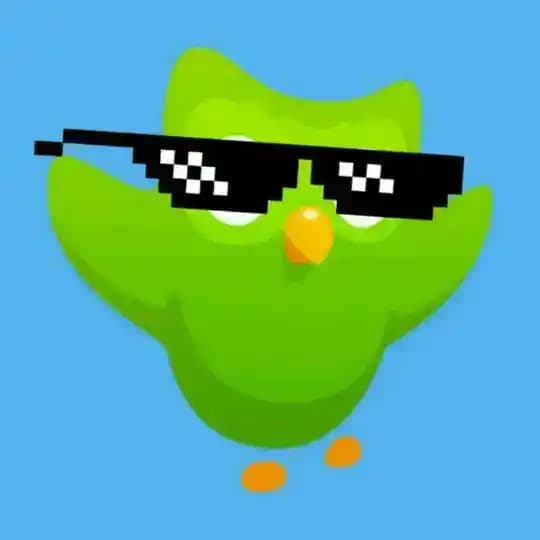 Duolingo and Language Learning Profile
