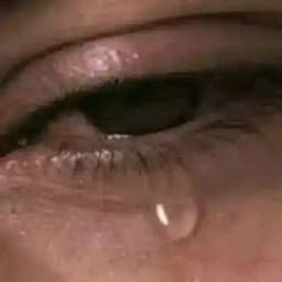 SÖPETİ QURUP Profile