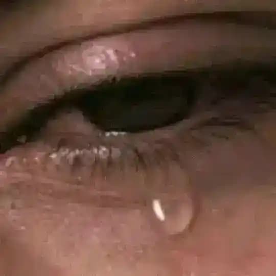 SÖPETİ QURUP Profile