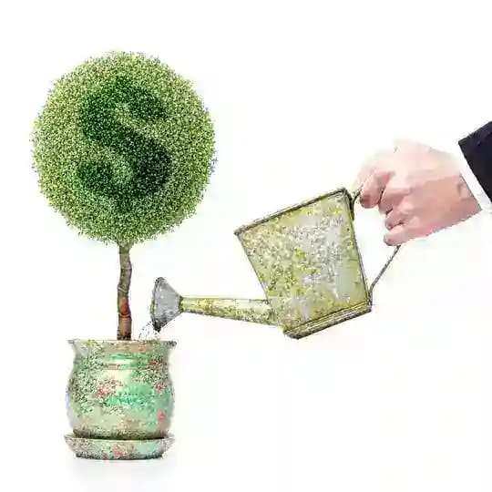 Falando de Investimentos Profile