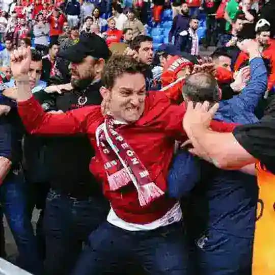 Fans Fight Group 2 Profile