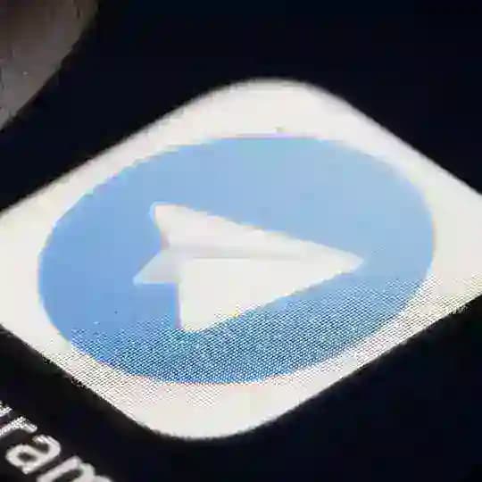 （粉丝鱼）协议号 Profile