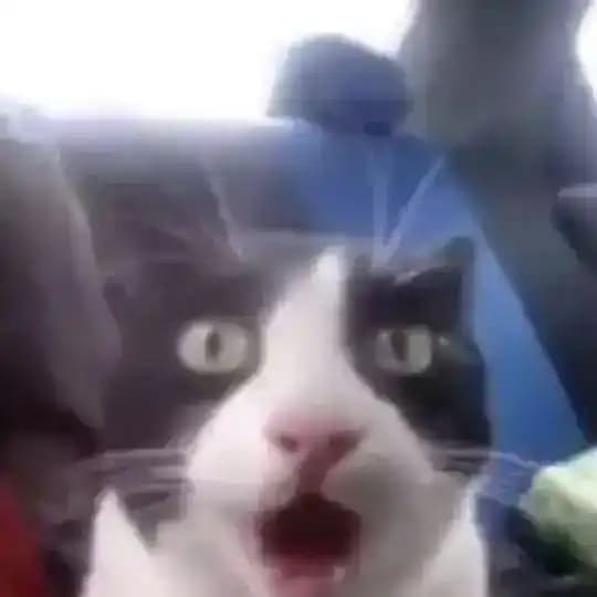 чатик фички типа Profile