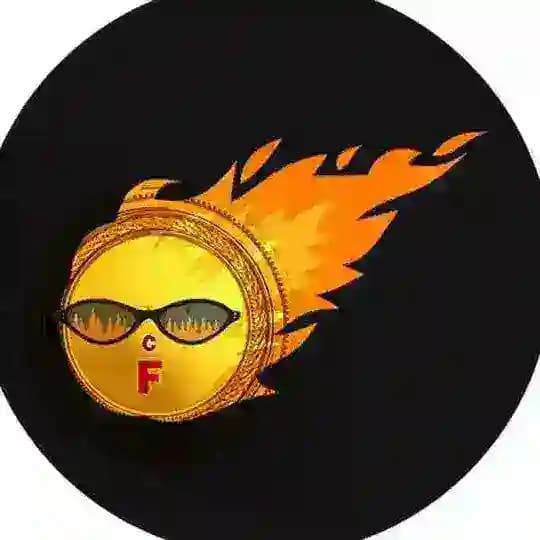 FIRE TOKEN Pakistan Profile