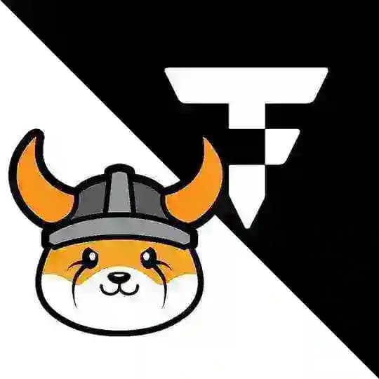 Floki & TokenFi German Group Profile