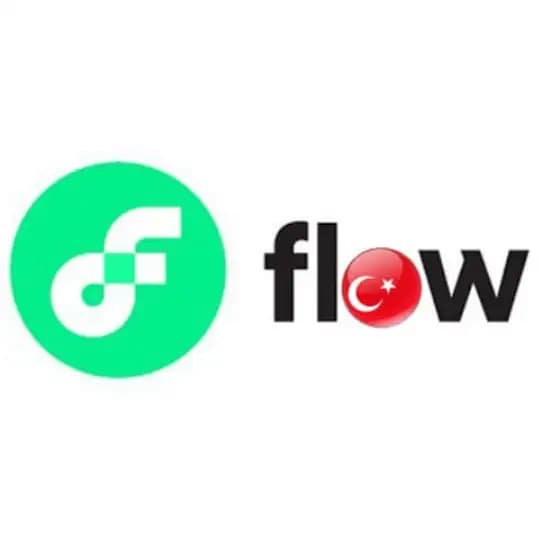 Flow Blockchain Türkiye Profile