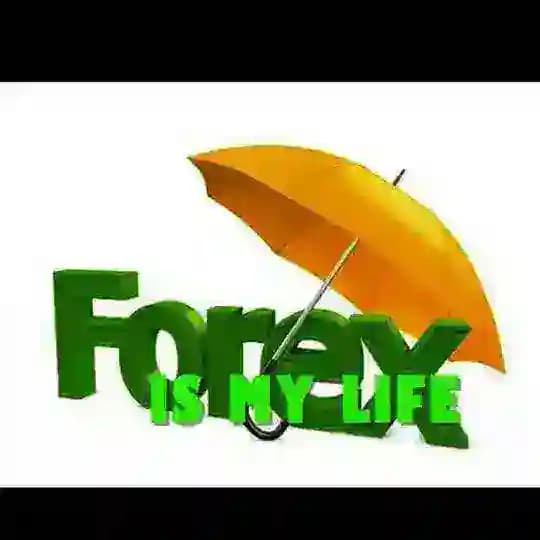 FOREX FREE TRAINING GROUP Profile